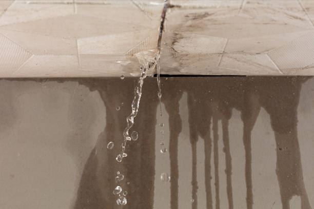 Professional Burst Pipe Cleanup technician working in Sun City West, AZ